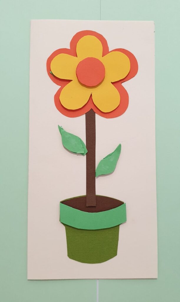 macrame hanging plant